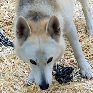 Meet your Posher, Clarence